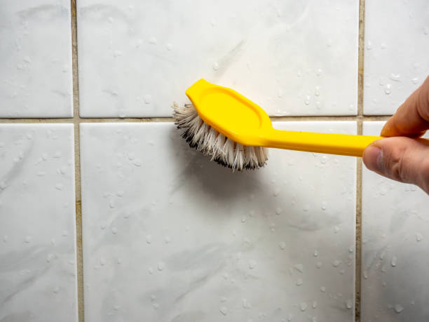 Best Black Mold Removal  in Lam, AR